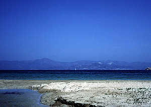 LEICA M6, VISOFLEX 3, TELYT 4,5/200